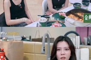 宋妍霏《浪姐6》重提自热锅事件再引争议