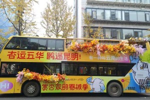 云南方言提示牌与赏杏观鸥春城季活动