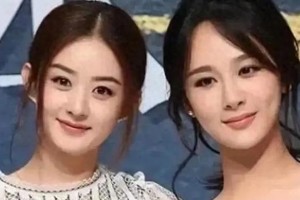 杨紫回应无缝进组争议：演员的坚守与热爱