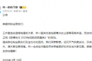 林一突发急性肠胃炎高烧 缺席东方卫视盛典