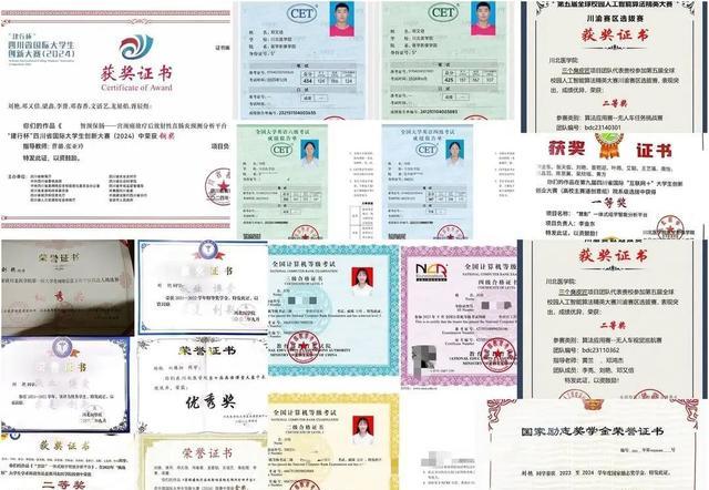 获得各种荣誉
