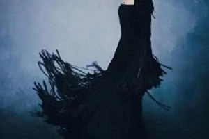 张婧仪华表奖黑裙造型封神 骨相美引全网热议