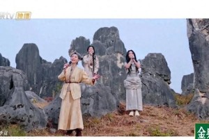 《乘风2025》二公舞台：叶童震撼，宋妍霏夺冠