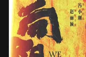 赵丽颖挑战女囚角色《向阳·花》引热议