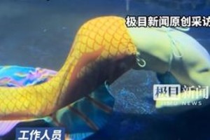太原美人鱼表演者低血糖晕厥 官方回应无生命危险